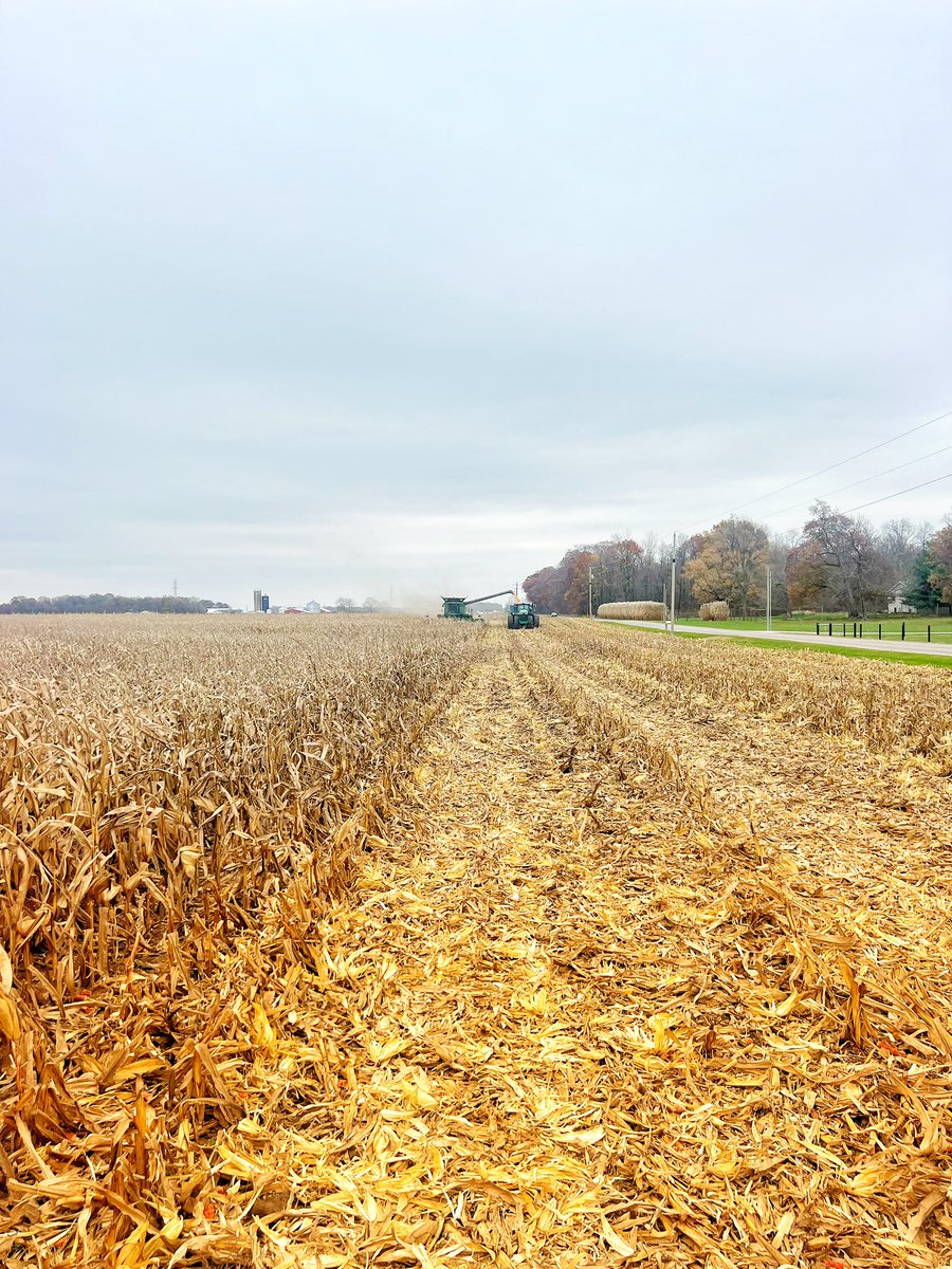 TomFarms's tweet image. #TodayAtTomFarms

We have been working with Dekalb on #Preceon #SmartCorn. We harvested yesterday and we are pleased with the results! 

Stronger Together

#TomFarms #BayerCropScience #Technology #Dekalb #Corn #Indiana #LetsGo @Asgrow_DEKALB @Bayer4Crops