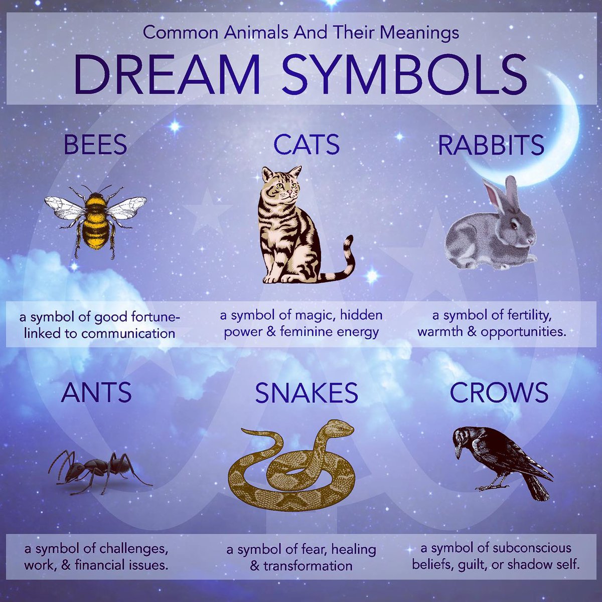 Each and every animal on this planet has a meaning when we dream of them. A dream about animals can be either positive or negative, depending on the details of the dream.

#Holistichealing #shadowwork #witchcraft #dreams #healingherbs #medicinalplants #wicca #naturalremedies