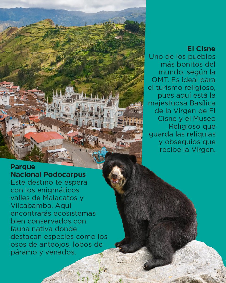 Viaja Ecuador tweet media