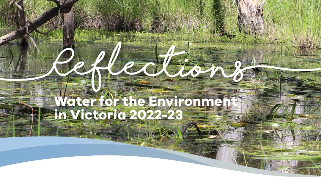 'Dock Lake near Horsham reaching an estimated capacity of 95 per cent'
@VicEWH have released Reflections: Water for the environment in Victoria 2022-23
tinyurl.com/yckmcbed
#waterfortheenvironment #CMAsGetItDone #environmentalwater #environmentalflows