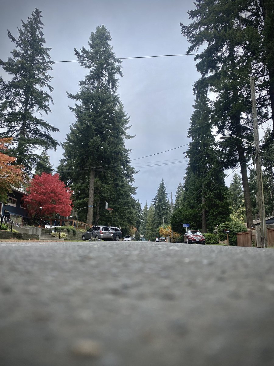 grounds_running's tweet image. Not all runs have sunsets and waterfronts. A majority of my time is spent running streets like this. Appreciate the beauty here and running becomes more fun. 

#runchat #Seattle #running #explore