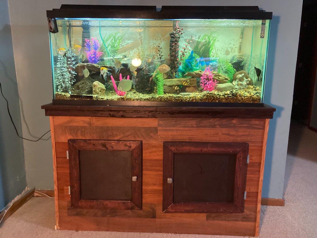 Troy Cameron tweet media