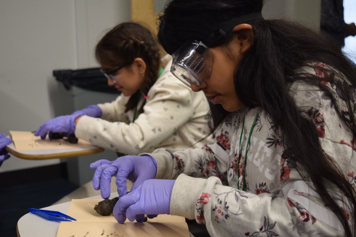 mercy_stem's tweet image. In celebration of yesterday’s #nationalstemday, here are some pics from last week’s Saturday STEM Academy session. Take look at our future STEM leaders! 👩🏻‍🔬 🔬

#SSA #stemkids