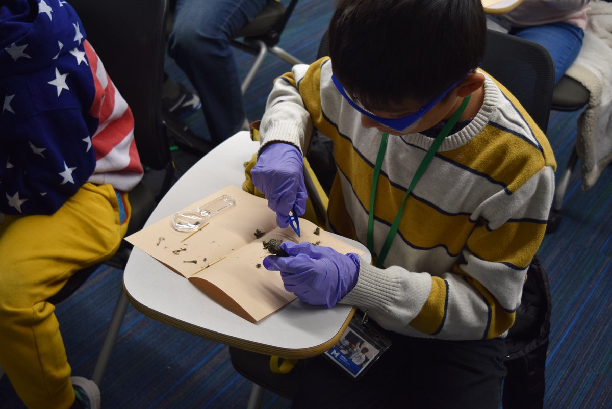 mercy_stem's tweet image. In celebration of yesterday’s #nationalstemday, here are some pics from last week’s Saturday STEM Academy session. Take look at our future STEM leaders! 👩🏻‍🔬 🔬

#SSA #stemkids