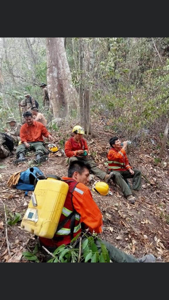 noticiasfides's tweet photo. 🔵 #ANF | Los bomberos y voluntarios ingresaron al parque nacional Madidi a pagar el incendio que se reactivó ayer. Ellos piden ayuda internacional. (Fotos: Cortesía) https://t.co/4uoQAiQAL2