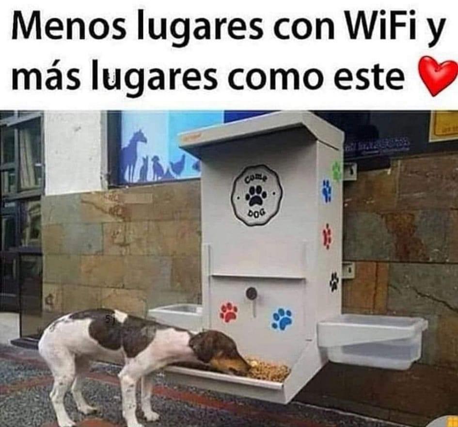 Mayú Guillén 🇲🇽🇺🇦 (@mayumiguillen) on Twitter photo 