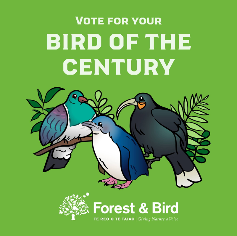 FINAL COUNTDOWN! 🕑You have until 5pm tonight, Sunday 12 Nov (NZDT), to have your say in who will be crowned Bird of the Century. Now is your chance to cast your vote in the world’s most important bird poll at birdoftheyear.org.nz 💚
Winner announced in the AM on Weds 15 Nov!