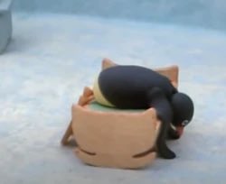 All I’m saying is this is literally the most chill penguin out there.