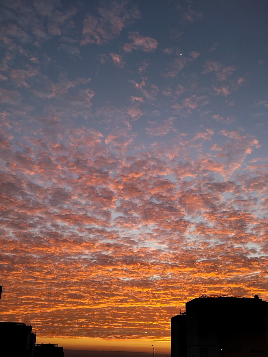etienecaru's tweet photo. @imagenZea @MARLENE_STAHL #AsíAmanece #Xalapa #AbreLosOjos  mañana todo estará bien ✨... https://t.co/ZiwXeoe7nq
