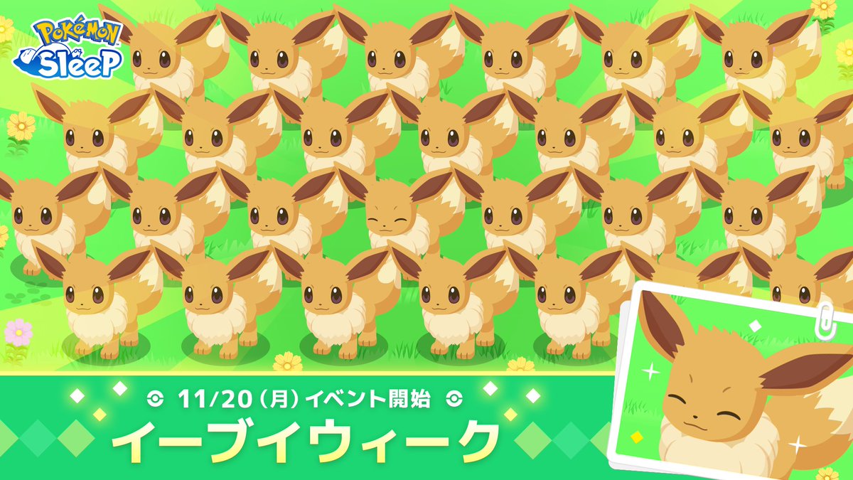 ポケモン イーブイ