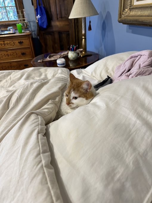 Look at how snug https://t.co/Dc4iVrJATr