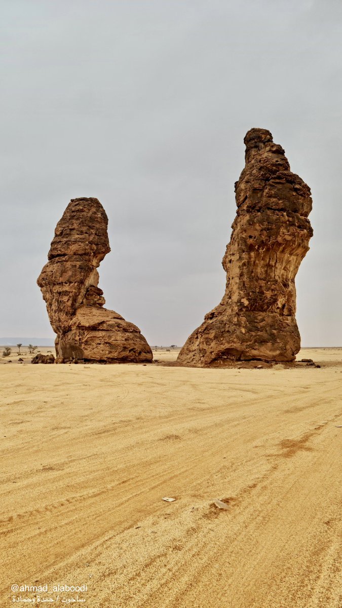 #الجمعة اللهم صل على نبينا محمد وعلى آله وصحبه وسلم 🌿 رب اغفر لي ولوالدي وللمؤمنين والمؤمنات والمسلمين والمسلمات الأحياء منهم والأموات 🌿 يا حي يا قيوم برحمتك أستغيث أصلح لي شأني كله ولا تكلني إلى نفسي طرفة عين 🌿 اللهم اكفني بحلالك عن حرامك وأغنني بفضلك عمن سواك 🌿 اللهم أغثنا