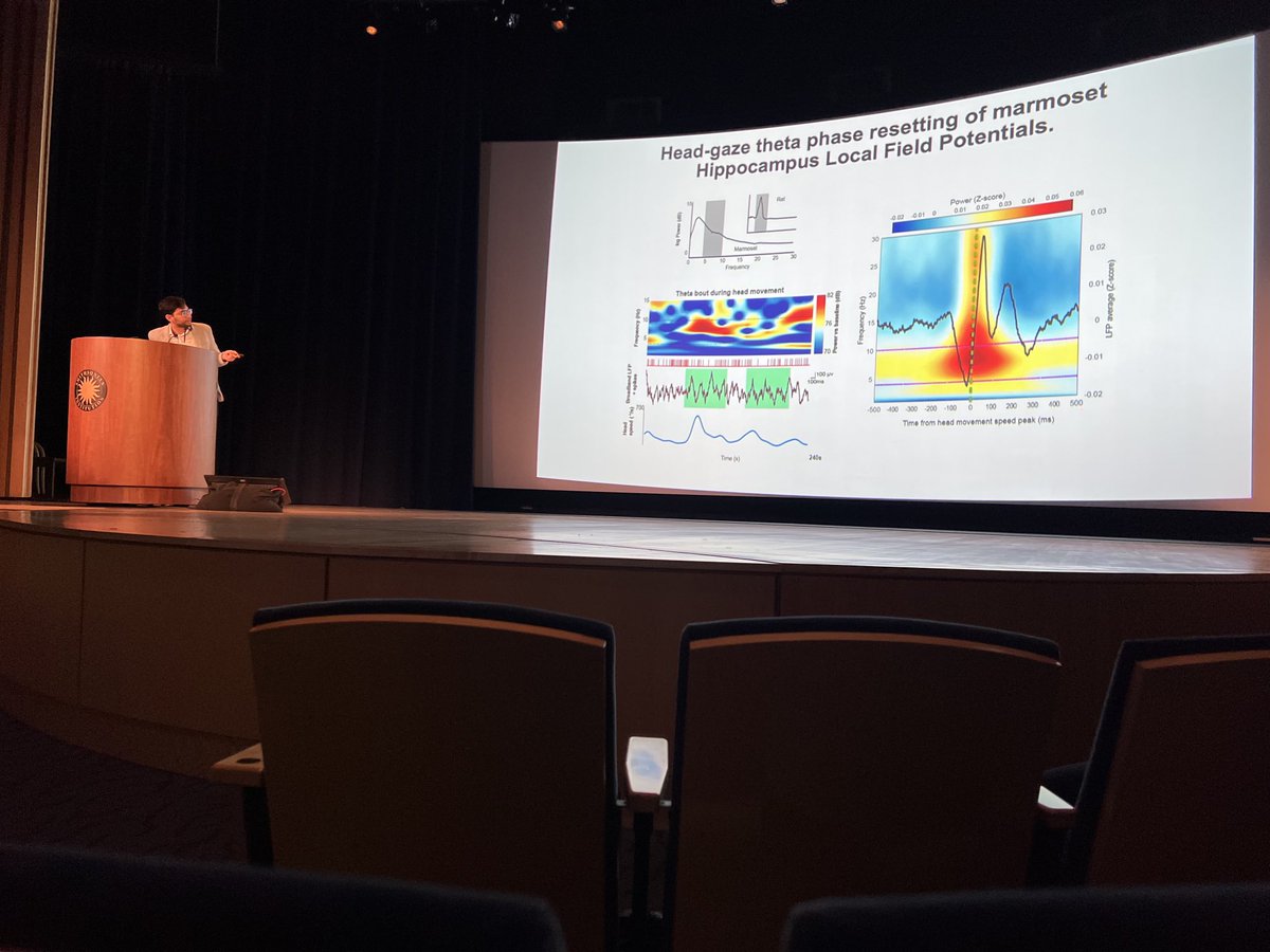 Julio Martinez tweet media