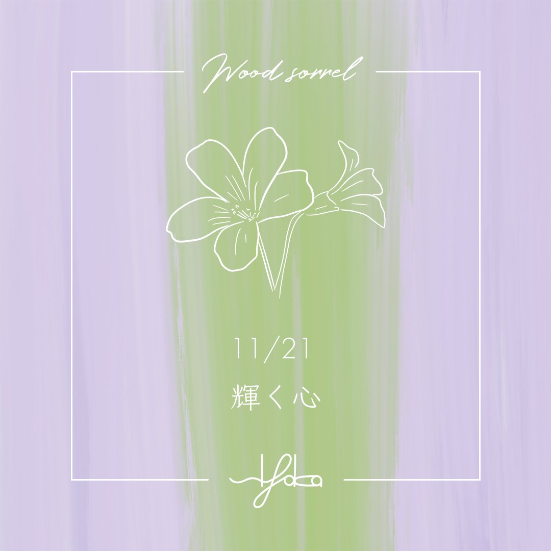 siyaka_480's tweet photo. おはようございます☀️
sIyaka（シヤカ）です💐

本日11/21の誕生花は『オキザリス』
花言葉は『輝く心』

今日もキラキラした1日になりますように☺️ https://t.co/kFA7Fk6Xgu