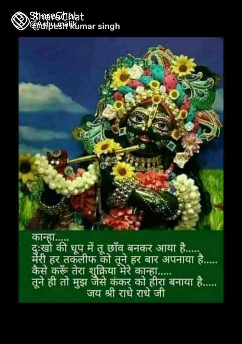 सुप्रभात🌹🌹🌹🌹🌹🌹