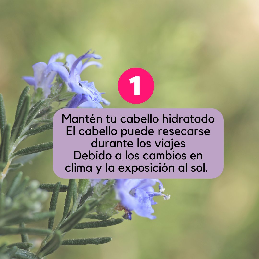 eternamele24822's tweet photo. #shamponatural #eternamelena #belleza #cabellosano https://t.co/nQ6WujSzDj