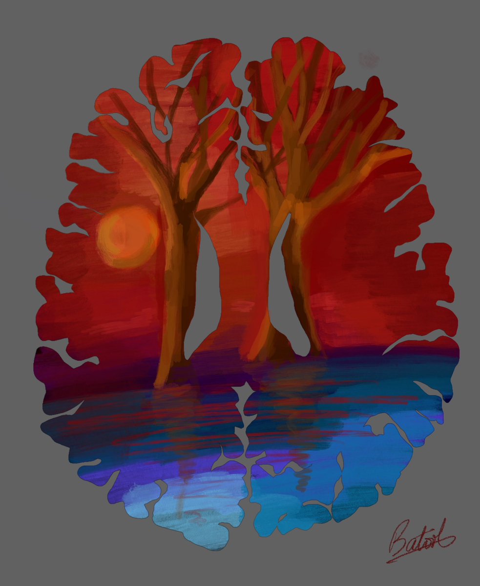 Batool Rizvi tweet media