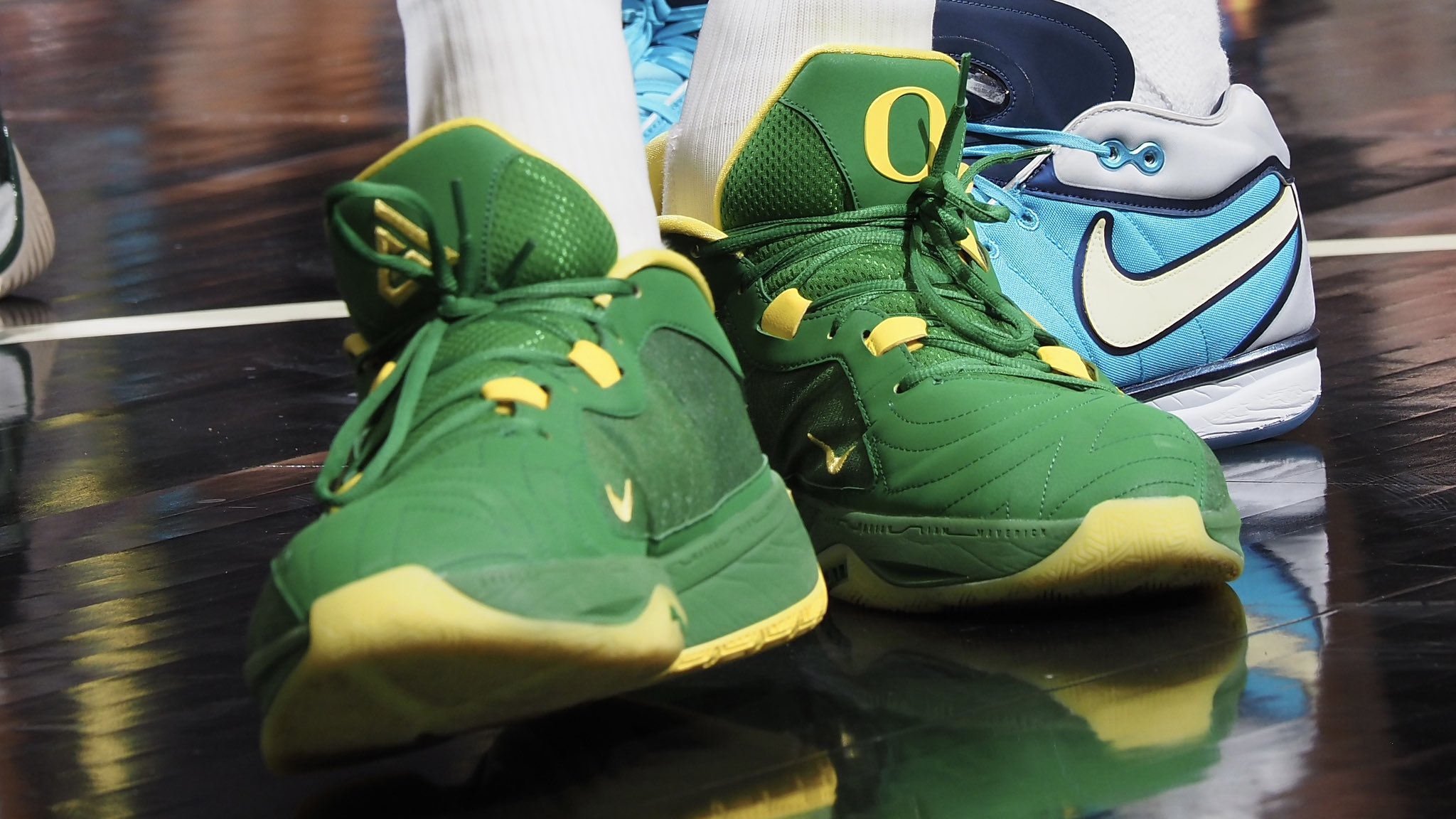 Oregon ducks store basketball shoes