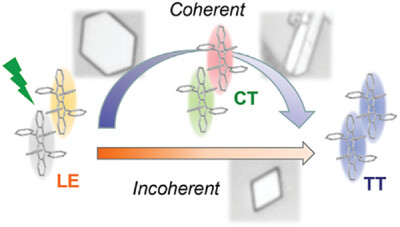 AggregateOA's tweet photo. New Research Article🔬
"Molecular stacking controlling coherent and incoherent singlet fission in #polymorph #rubrene single crystals" by Haibo Ma &amp; Haiming Zhu et al. 
@ZJU_China @Wiley_Chemistry #triplet #crystals #coupling

Check👉https://t.co/eSNvSdpCfG https://t.co/cC3myT33MO