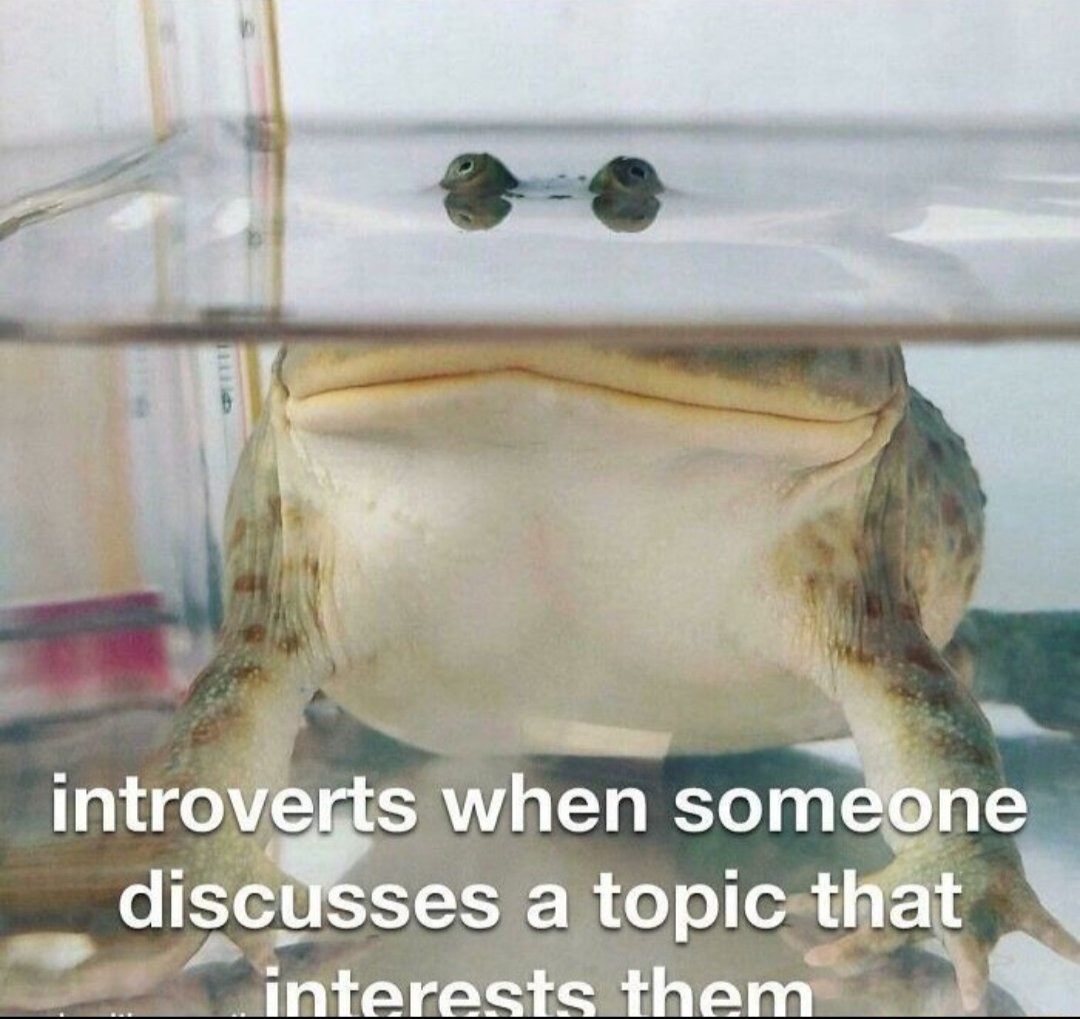 NO CONTEXT HUMANS (@humansnocontext) on Twitter photo 