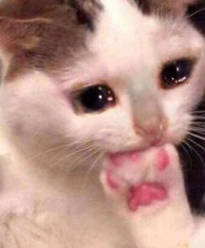 AAAAAAAAA AKDYGSBEHDGS