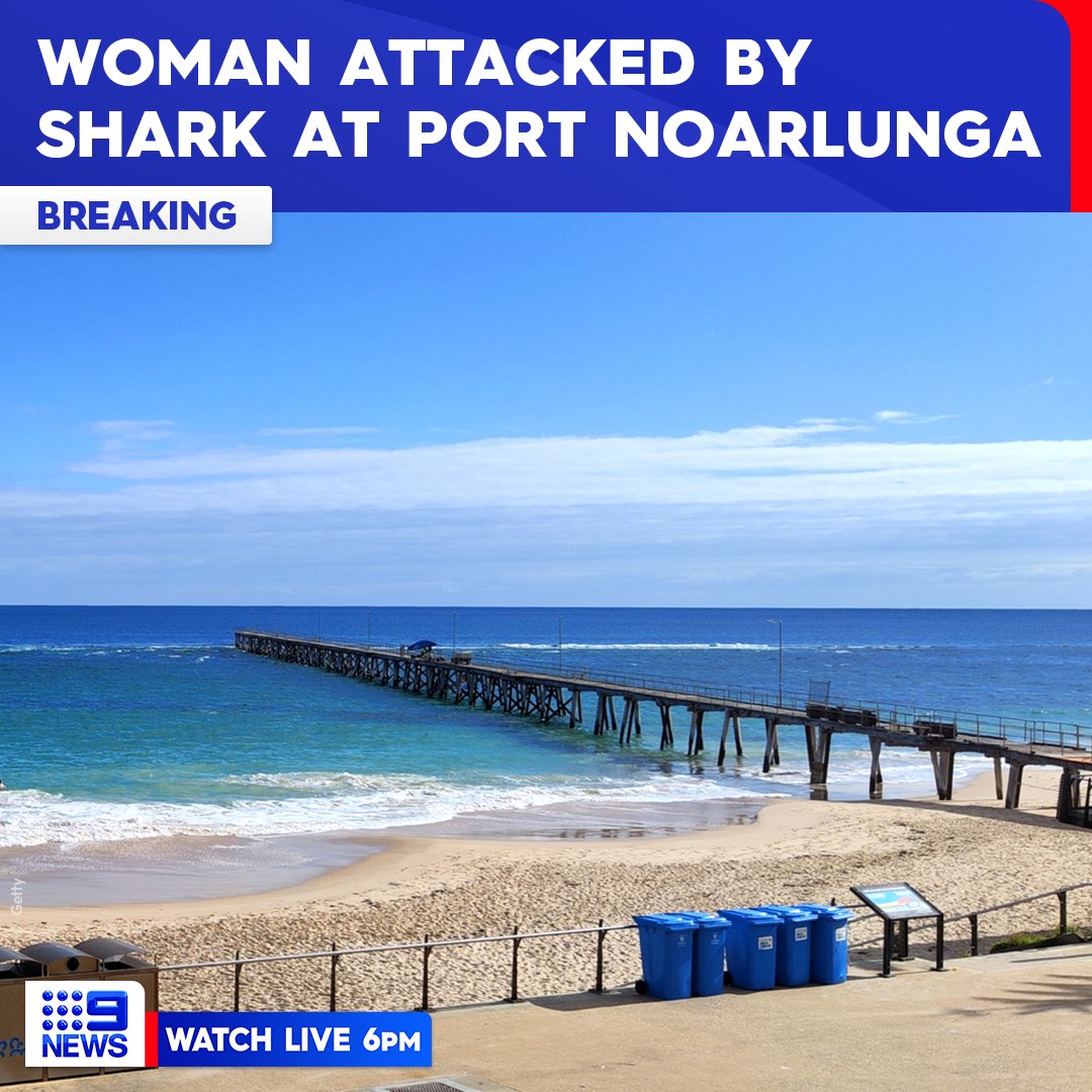 #BREAKING: A woman has been rushed to hospital with facial injuries after being attacked by a shark near the Port Noarlunga jetty.

WATCH LIVE AT 6pm to see the full story. #9News