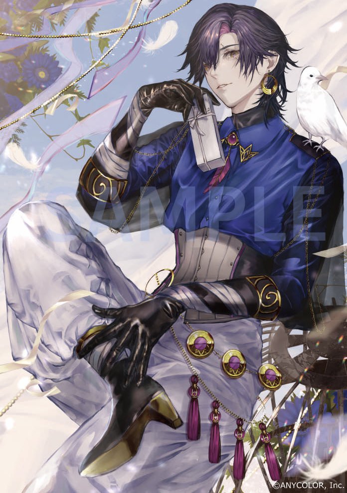 ヴェザリウス バンデージ vezalius bandage デビューチェキ