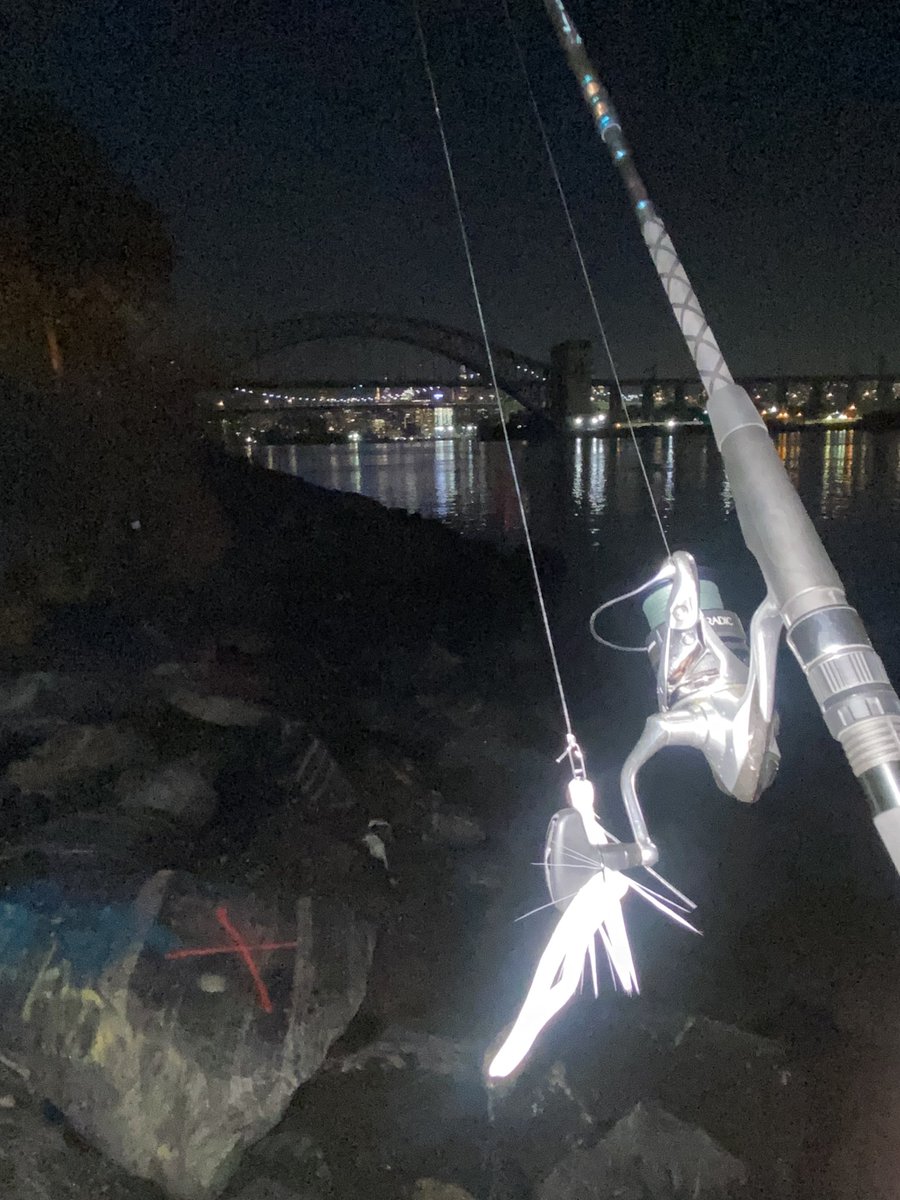 chartsmarter's tweet image. On the hunt in NYC #fallrun #stripedbass