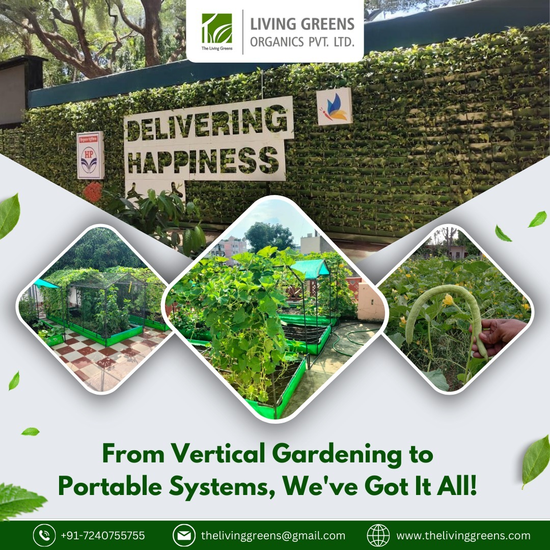living_greens's tweet photo. 🏢🌿 Dive into a World Where Nature and Buildings Coexist in Perfect Harmony! Experience the Beauty of Living Greens! 🌇🌱
.
Visit Us- https://t.co/lS6faQBI8t
.
.
#thelivinggreens #livinggreensorganics #urbanorganicfarming #organiceaters #schoolfarming #Urbanfarming #Jaipur https://t.co/RBqn1xLzW0