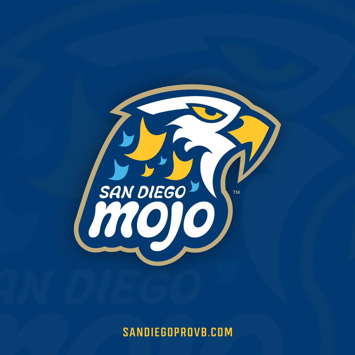 mlvolley's tweet image. Say hello to the SAN DIEGO MOJO!

#RallyWithUs #RealProVolleyball #ProVolleyball