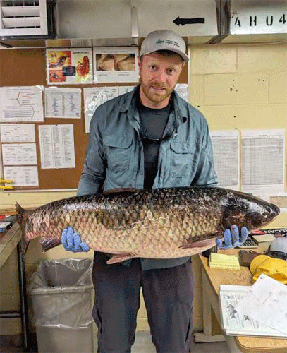 fishdb's tweet photo. OFFLHD v.5.30. Updated Ontario record size for Grass Carp (Ctenopharyngodon idella). Total Length 116 cm. Weight 20.996 kg. https://t.co/xbJpKTyVaf @OODMag @ofah @afs_oc @afs_oc_su https://t.co/EVYFz5ioJD