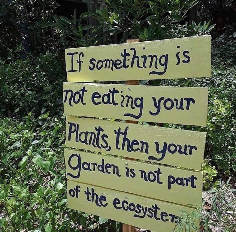 Is it?

#gardeningask #gardening101 #GardeningCommunity #GardeningX