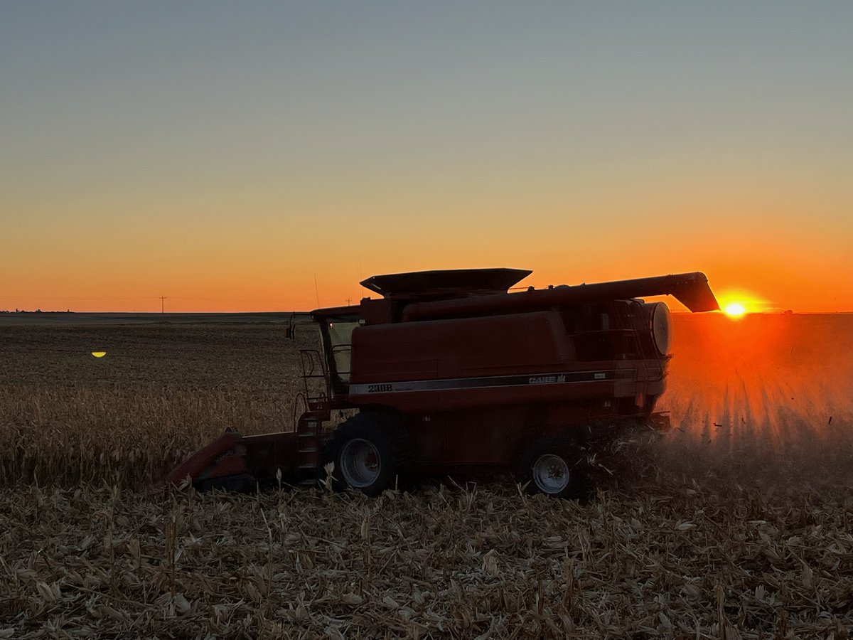 2023 crops are in the bin.  Let's hope 2024 is just as good!