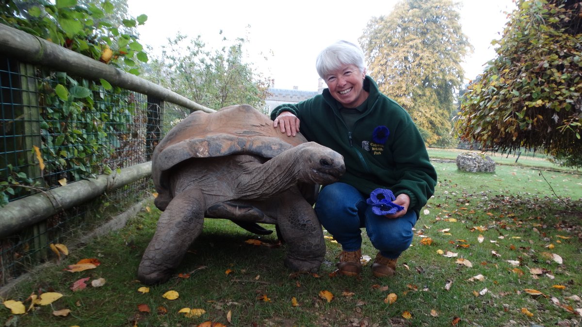 CotsWildTweets tweet picture