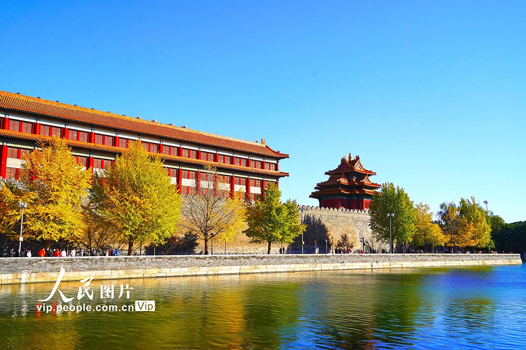 【北京：故宮筒子河畔景色宜人】11月9日，北京故宮筒子河畔初冬景色宜人，金色銀杏葉與紅墻黃瓦交相輝映，構成一幅浪漫的初冬美景圖。