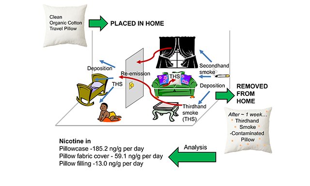 📢Latest Research Article from @JournalExposure 

Title: Cotton pillow samplers for assessment of #thirdhandsmoke in homes of smokers and nonsmokers with children

Download the PDF for free:
f.oaecdn.com/xmlpdf/5ffb969…

#secondhandsmoke
#nicotine
#passivesamplers
#indoorenvironments