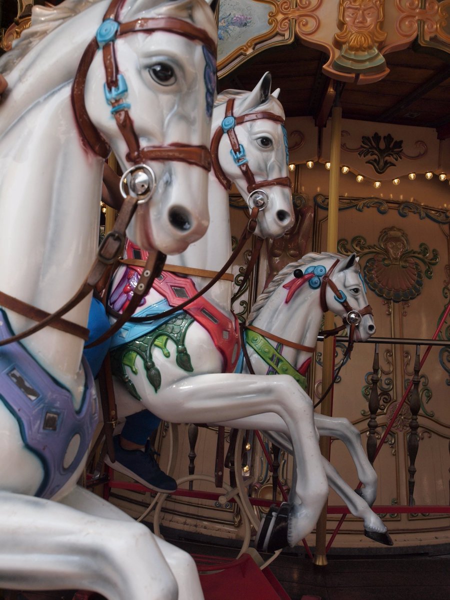 3rika1955's tweet image. #kermis #November_Kiek #dag10 #fotochallenge ⁦@Tpzijl⁩