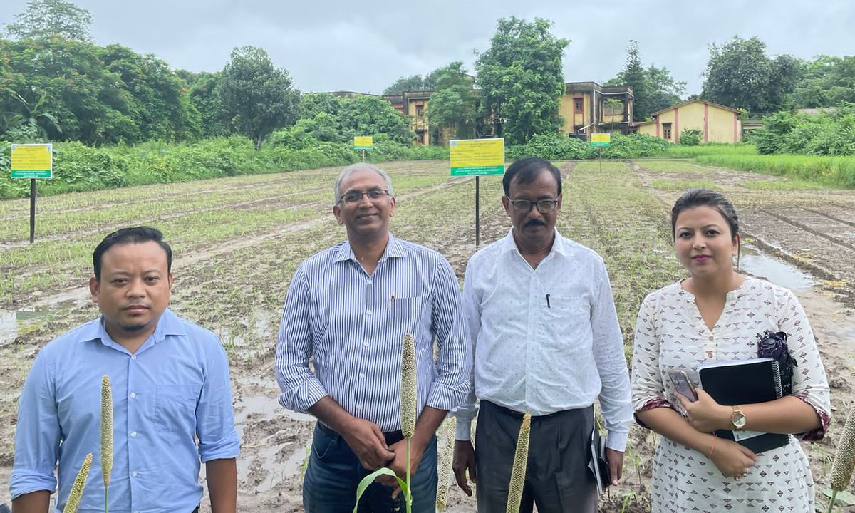 ICRISAT (@icrisat) on Twitter photo ICRISAT, in collaboration with the Government of Assam, is embarking on a mission to empower over 7,000 smallholder farmers through millet cultivation as part of the #AssamMilletMission.
This partnership also includes <a href="/AAUjorhat/">Assam Agricultural University</a> and private seed companies, to enhance millet ICRISAT, in collaboration with the Government of Assam, is embarking on a mission to empower over 7,000 smallholder farmers through millet cultivation as part of the #AssamMilletMission.
This partnership also includes <a href="/AAUjorhat/">Assam Agricultural University</a> and private seed companies, to enhance millet
