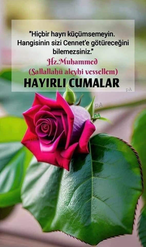 Müminin duâ'sı mümine şifadir.. Rahmettir,
Berekettir, 
İmandir.. 
Hidayetine vesiledir..!! 

Rabbim bizleri birbirine düşürüp gıybet eden değil, 
Birbirlerini düşünüp duâ eden mümin kullarından eyle..
Aminn 

#CUMAMIZMÜBAREKOLSUN