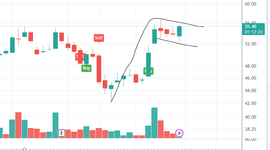 kushthakkar183's tweet image. #DenNetwork