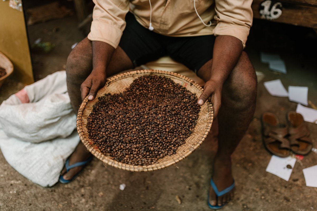 OUT NOW! Why do coffee farmers stay poor? Breaking vicious circles with direct payments from profit sharing. Ruerd Ruben @WUR explains in his latest important @Pluto_Journals OA article. #coffee #smallholders #valuechain #certification #livingincome scienceopen.com/hosted-documen…