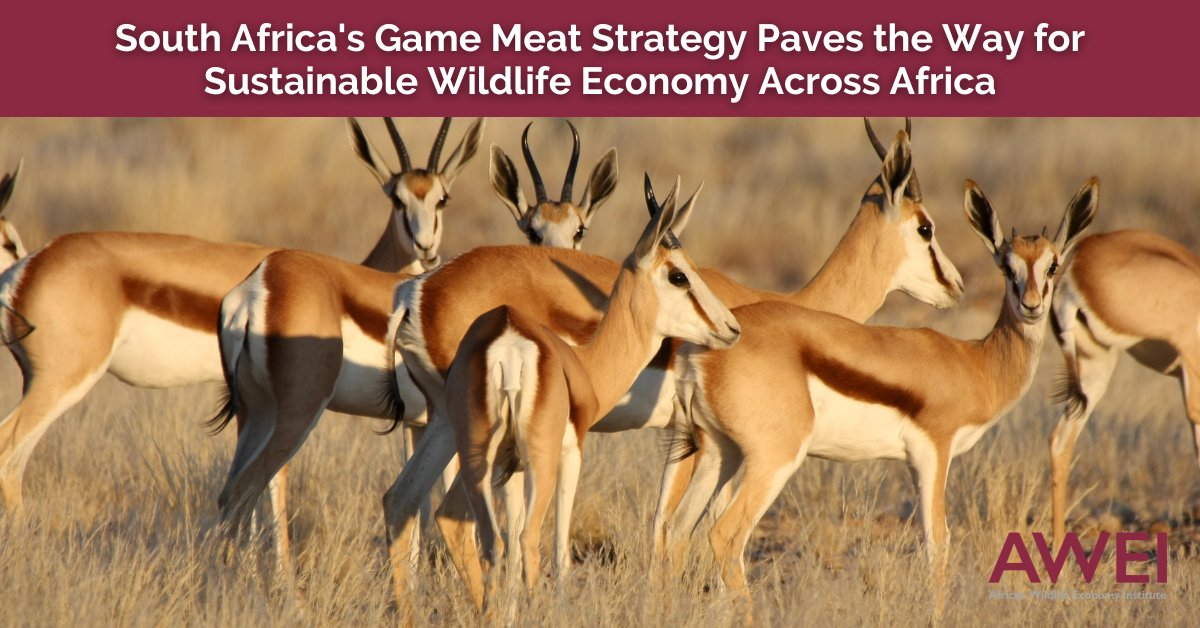 SA's Game Meat Strategy, in DFFE 2023 Gazette, aligns with global commitments to sustainable wild species use. AWEI's input ensures a balanced approach, fuelling a sustainable #wildmeat sector & setting a blueprint for African nations. www0.sun.ac.za/awei/publicati… #WildlifeEconomy