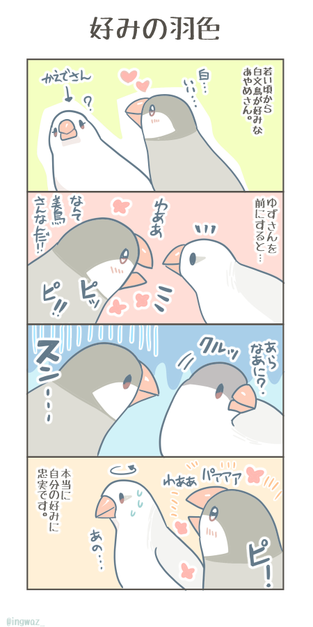 好みの羽色。

#漫画が読めるハッシュタグ #Buncho #文鳥 