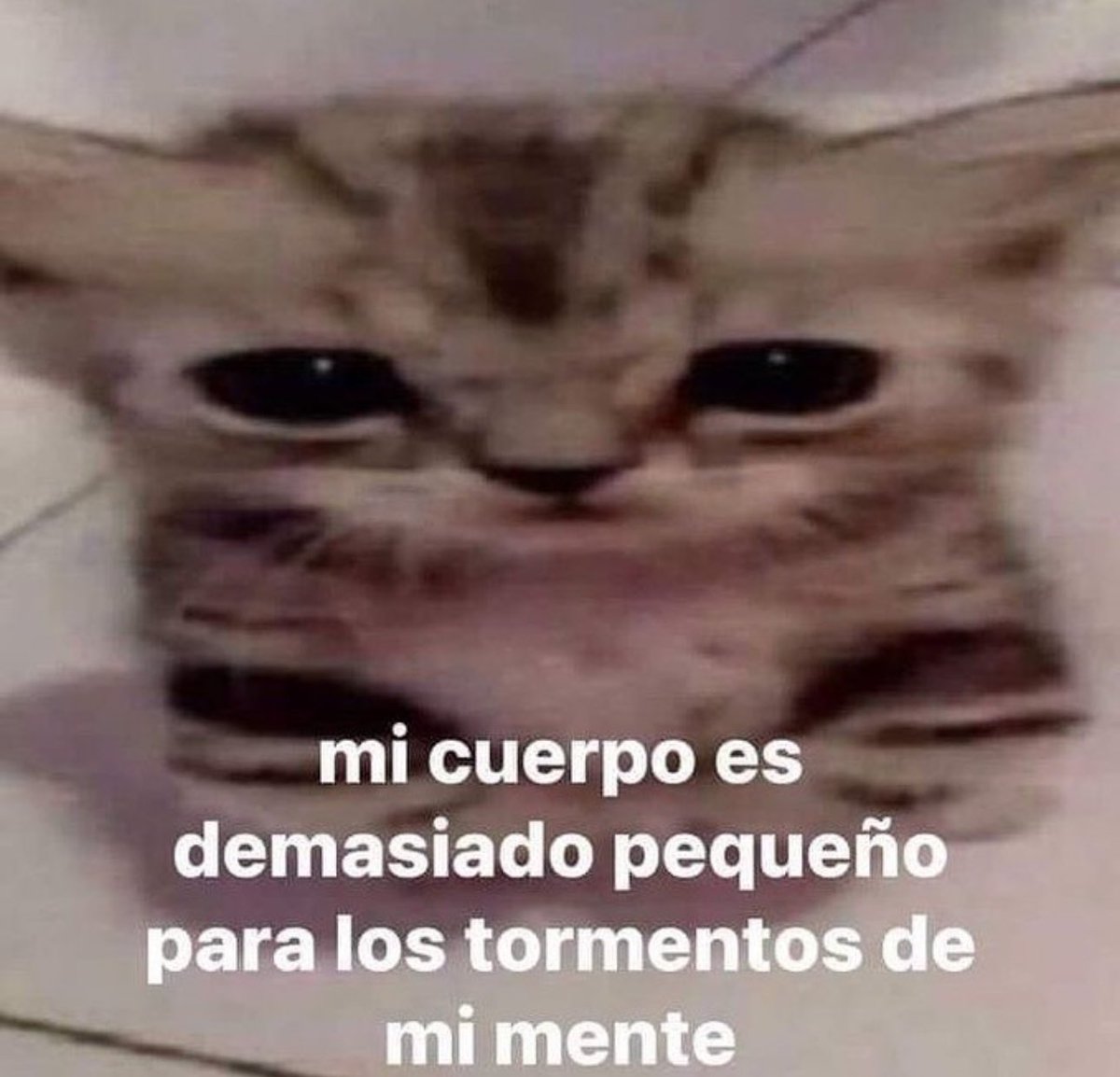 castellanosan's tweet photo. Buenos días https://t.co/biq5TL0D9A