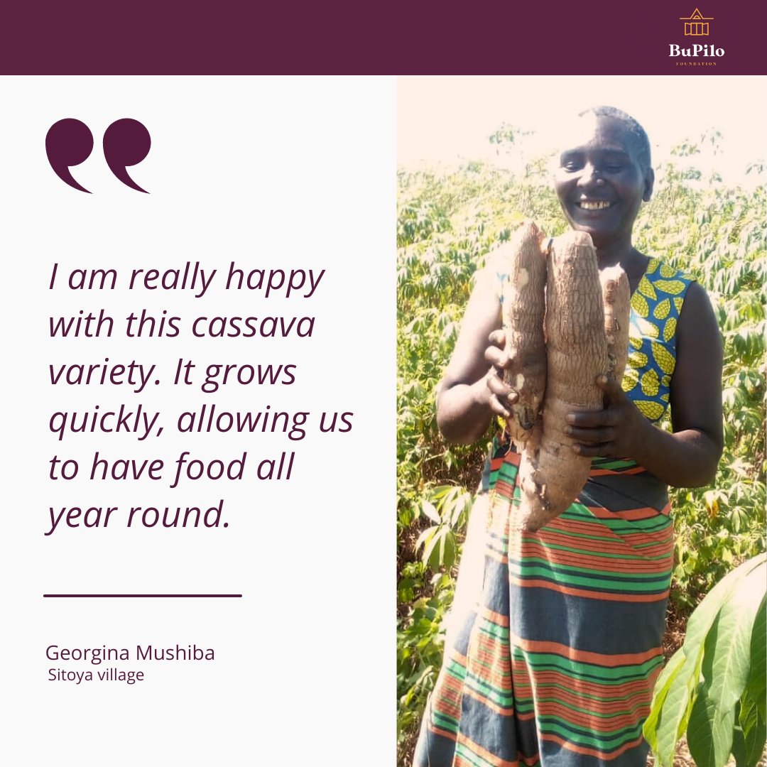 BuPilo Foundation tweet media