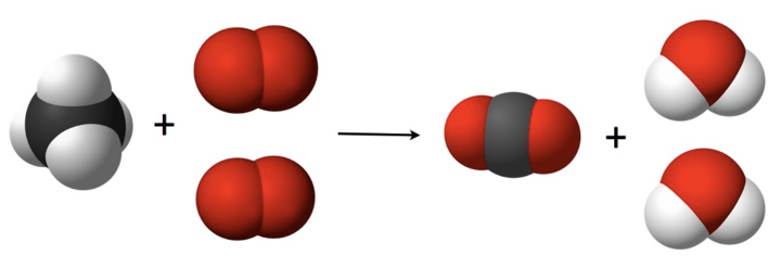 out today in @NatureGenet 🎉!!! our study applying a simple physical principle (mass balance) to deconstruct the notion that you need long reads to detect large variants in cancer nature.com/articles/s4158… 1/🧶