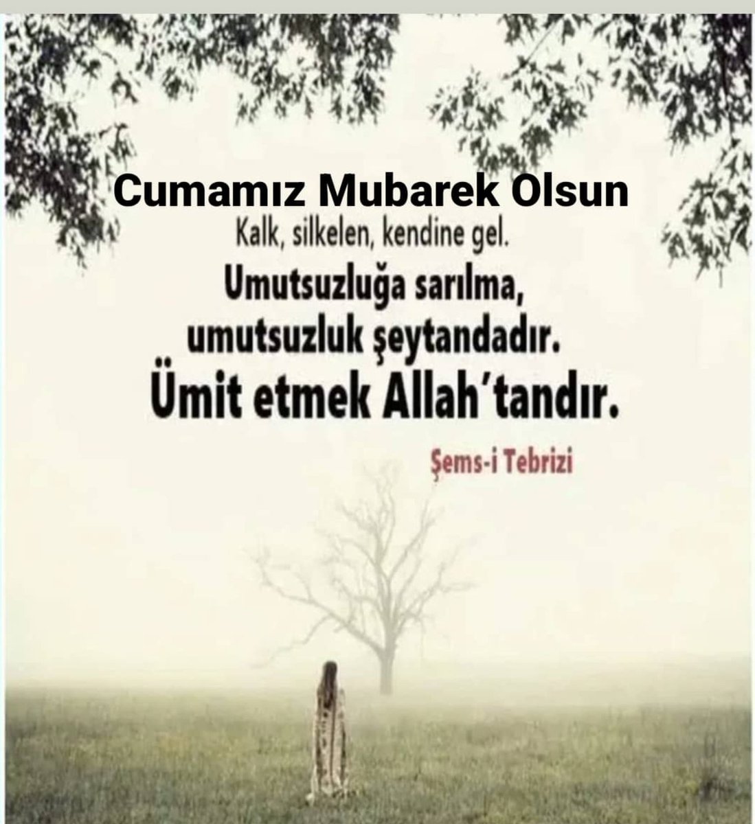 Kayı_osmanlı (@kyg_06) on Twitter photo 