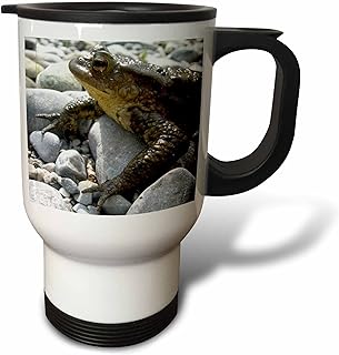 TaicheTees's tweet photo. https://t.co/fCKi3yZfNd #3dRose #taiche Bufo Bufo Toad Lounging On Stones Close Up Photograph #toadlover #toad #froglover #frogs #frog #toads #americantoad #froggos #frogsarecool #toadsarecool #toadaccount #frogaccount #phroggos #frogandtoadaccount
https://t.co/QYI4kV4mAo https://t.co/67R4gtcCuX