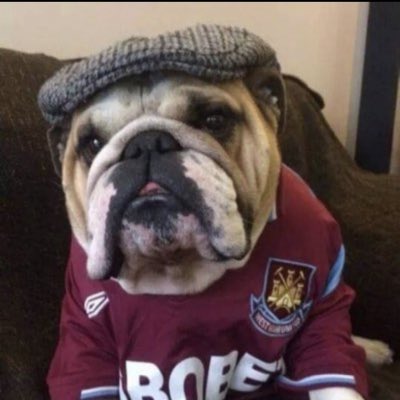micha⚒ tweet media