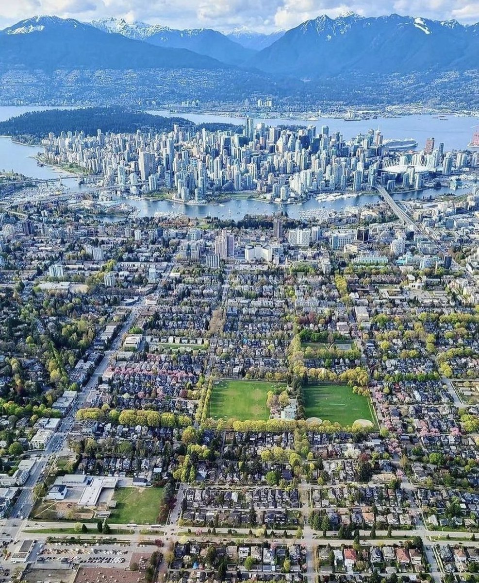 George 🇨🇦 tweet media